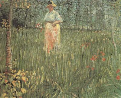 A Woman Walking in a Garden (nn04), Vincent Van Gogh